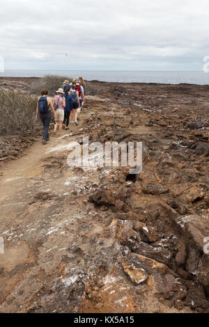 People walking on Genovesa Island as part of a guided tour, Galapagos Islands Ecuador South America Stock Photo