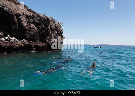 Tourists snorkeling, the island of Rabida, Galapagos Islands Ecuador South America Stock Photo