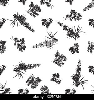 Hand drawn sketch style set of different kinds of berries. Vector illustration isolated on white background. Stock Vector