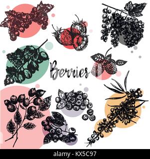 Hand drawn sketch style set of different kinds of berries. Vector illustration isolated on white background. Stock Vector