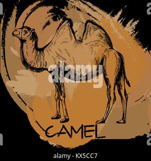 Hand drawn sketch style camel. Isolated vector illustration. Stock Vector