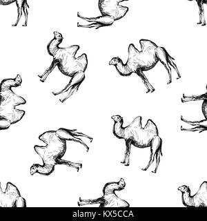 Seamless pattern of hand drawn sketch style camel. Vector illustration isolated on white background. Stock Vector