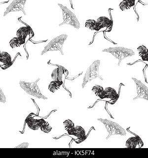 Seamless pattern of hand drawn sketch style ostrich. Vector illustration isolated on white background. Stock Vector