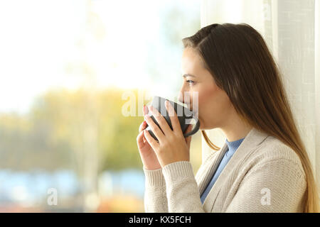 Side view portrait of a relaxed lady drinking coffee and looking outdoors through a window at home Stock Photo