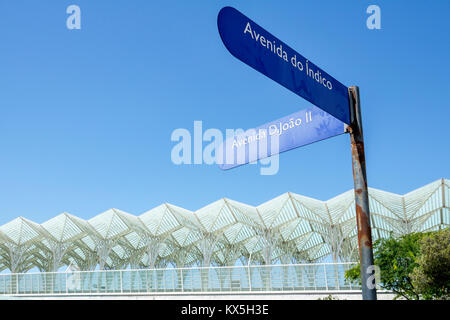 Lisbon Portugal,Oriente,Gare do Oriente,intermodal hub,transportation,station,Santiago Calatrava,railway platform metal lattice,modern architecture,st Stock Photo