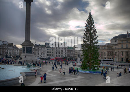 LONDON, ENGLAND - December 18 , 2017 Trafalgar Square with a Christmas tree on the eve of Christmas at dusk Stock Photo