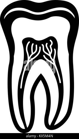 Tooth structure icon, simple black style Stock Vector Image & Art - Alamy