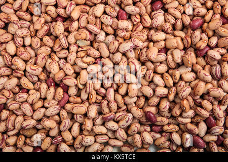 Pinto beans as background Stock Photo