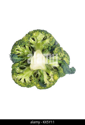 Sliced broccoli isolated over white background Stock Photo
