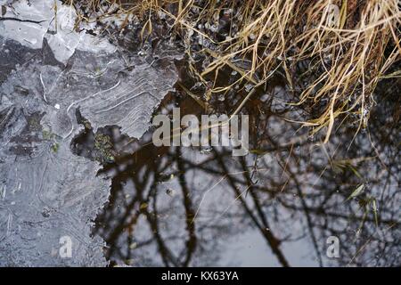 close-up of ice patterns on pond with reflections Stock Photo