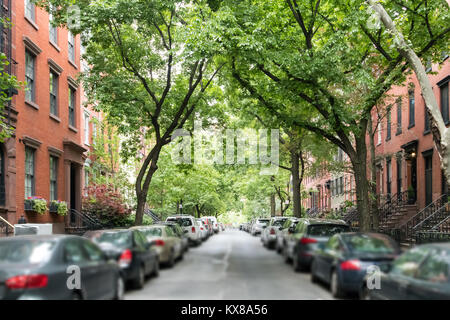 Tree lined street of historic brownstone buildings in a Greenwich Village neighborhood in Manhattan New York City NYC Stock Photo