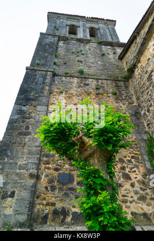 La Maza village, River Miera Valley, Valles Pasiegos, Cantabria, Spain, Europe Stock Photo