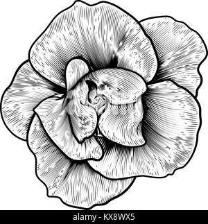 Rose Flower Woodcut Vintage Engraved Etching Stock Vector