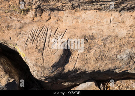 Ancient Guanche rock markings along the route from Aldea Blanca to San Miguel, archeological site, Tenerife, Canary Islands, Spain Stock Photo