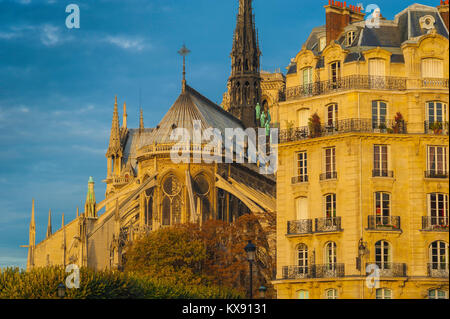 Paris architecture, the east end of Notre Dame Cathedral alongside a typical 19th century apartment building on the Ile de la Cite in Paris, France. Stock Photo