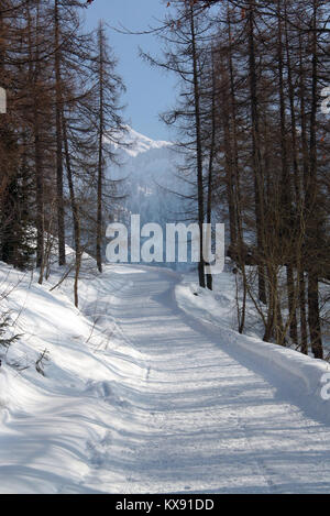 Winter landscape in the mountain Stock Photo