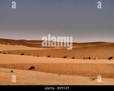 Travelling to the desert in Saudi Arabia Stock Photo