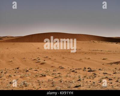 Travelling to the desert in Saudi Arabia Stock Photo