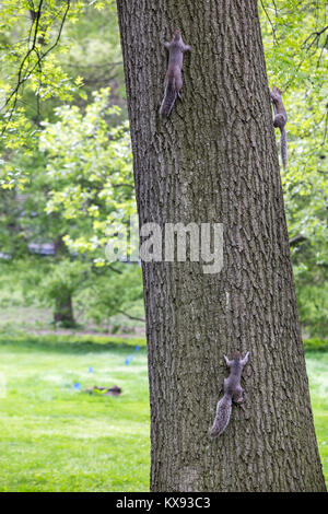 New York, NY. Wildlife on display at the On a Wing festival in Central ...