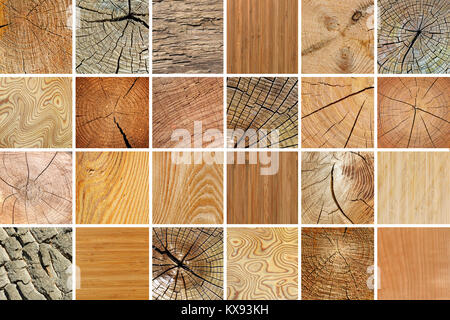 Large collection of various wooden textures. Natural background. Stock Photo