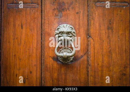 Front view of a vintage lion head shaped door knocker fitted on an solid old wooden door. Stock Photo