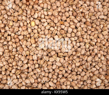 Garbanzo beans (chickpeas). Heap of Chick Peas as detailed macro shot Stock Photo