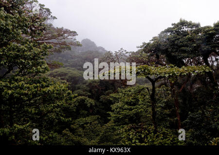 Tree top views taken from the hanging bridges over Monteverde Cloud forest reserve. Stock Photo