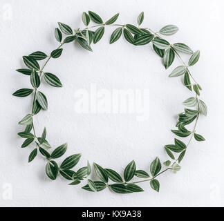 Green leaves circle Stock Photo