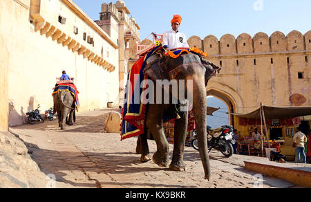 Elephants and Mahouts at Amber Fort Stock Photo