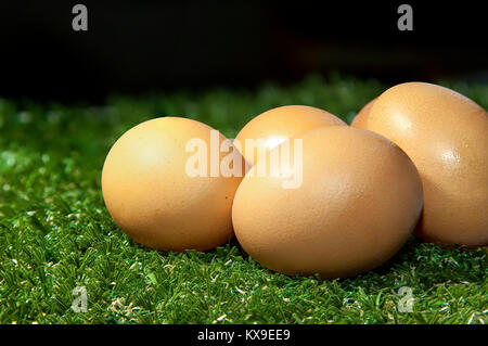 Fresh Organic Eggs grouped on Fresh green grass. Close-up. Stock Photo. Stock Photo