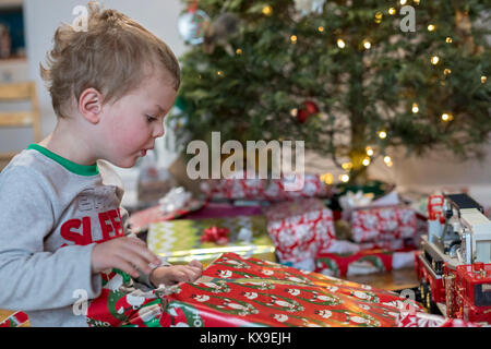 Wheat Ridge, Colorado - Adam Hjermstad Jr., 3, opens presents by his family's Christmas tree on Christmas morning. Stock Photo