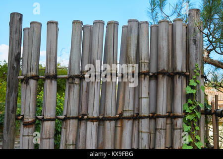 Fence of bamboo poles against the blue sky Stock Photo
