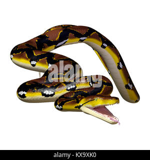 3D rendering of a Reticulated python or Python reticulatus, a species of python found in Southeast Asia, isolated on white background Stock Photo