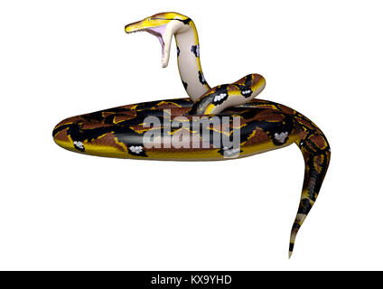 3D rendering of a Reticulated python or Python reticulatus, a species of python found in Southeast Asia, isolated on white background Stock Photo