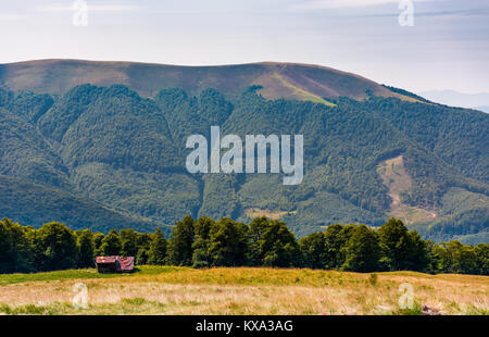 abandoned herdsman shed on hillside near forest. lovely summer nature scenery in Carpathian mountains Stock Photo