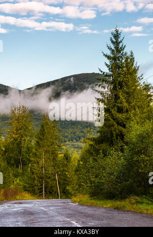 Misty morning asphalt road through the forest in autumn Stock Photo - Alamy