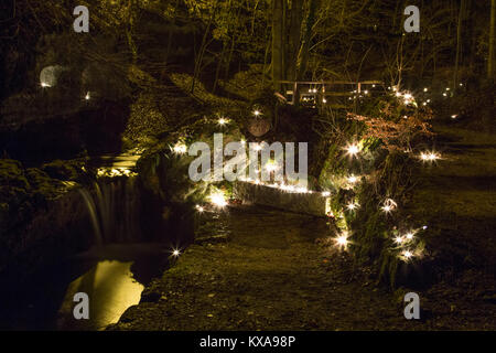 Tealights in Forest Stock Photo