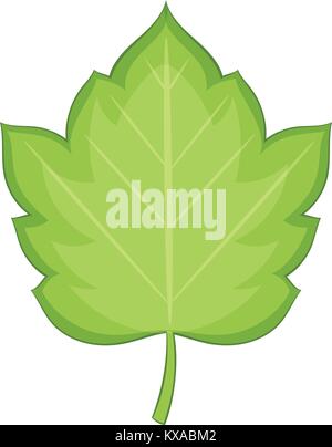 Hawthorn leaf icon, cartoon style Stock Vector