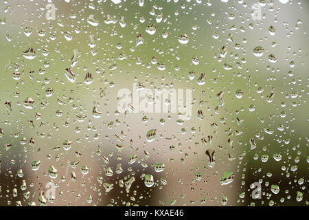 Rain drops on window with building and green tree in background Stock Photo