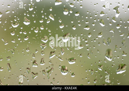 Rain drops on window with building and green tree in background Stock Photo