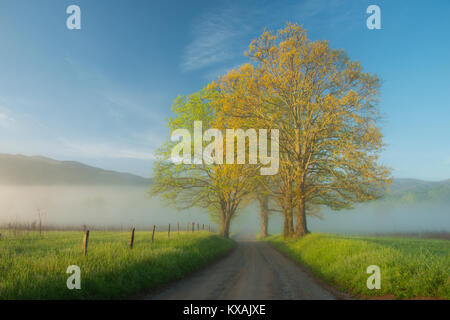 Cade's Cove, Great Smoky Mountain NP, Tennessee, USA by Bill Lea/Dembinsky Photo Assoc Stock Photo