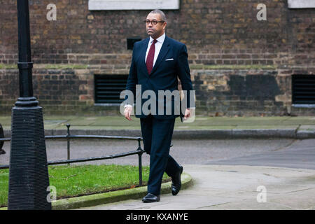 London, UK. 8th January, 2018. James Cleverly MP arrives outside 10 Downing Street on the morning of a Cabinet reshuffle by Prime Minister Theresa May. He was later announced as the new Conservative Party Deputy Chairman. Credit: Mark Kerrison/Alamy Live News Stock Photo
