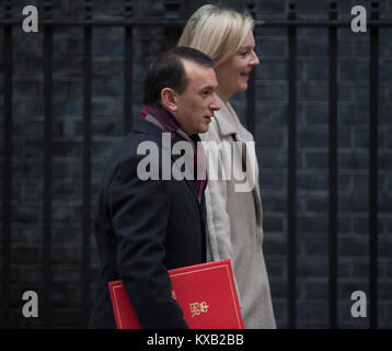 Downing Street, London, UK. 9th Jan, 2018. Government ministers old and new in Downing Street for weekly cabinet meeting on day following Cabinet reshuffle. Alun Cairns, Secretary of State for Wales and Elizabeth Truss, Chief Secretary to the Treasury, leaving. Credit: Malcolm Park/Alamy Live News. Stock Photo