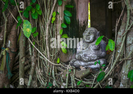 Statue amoung roots supporting The Ordination Hall, Bang Kung Camp, Samut Songkhram, Thailand.