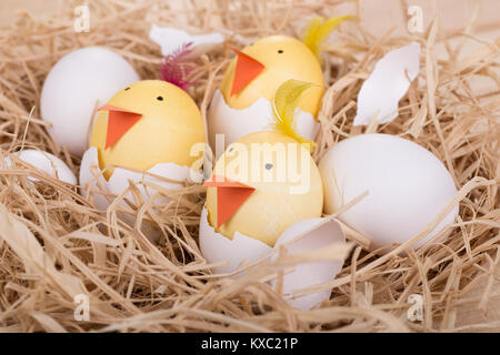 Easter eggs decorated as chicks hatching in a nest Stock Photo