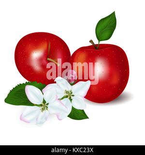 Realistic apples with flowers Stock Vector