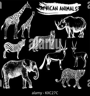 Hand drawn sketch style set of African animals - giraffe, zebra, elephant, cheetah, oryx, leopard, gazelle and rhino. Vector illustration isolated on  Stock Vector