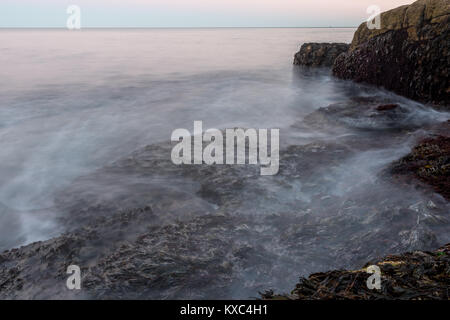 Waves Crashing Over Kelp on Maine Coast with long exposure effect Stock Photo