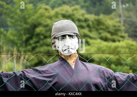 Scarecrow in the field looking over fence to camera. Scarecrow with white facial mask stand in garden, Japan. Stock Photo