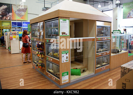 England, Kent, Orpington – Circa July 2014: huge pet inclosure in a pet supermarket in England. Stock Photo